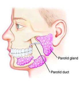 Parotidectomy جراحی غده بناگوشی(پاروتید)